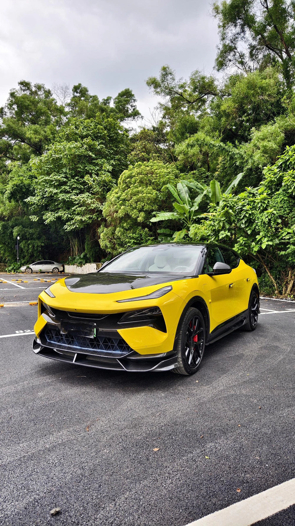 Rz Style Body Kit for Lotus Eletre Dry Carbon Fiber Front Lip Rear Diffuser Side Skirts Fender Flares Car Wide Body Kit